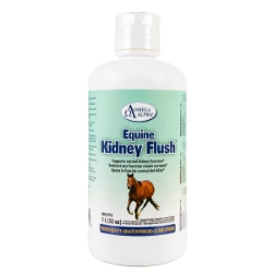 Picture of OMEGA ALPHA KIDNEY FLUSH - 1 lt