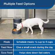 Picture of PET FEEDER PETSAFE SMART FEED AUTOMATIC FEEDER