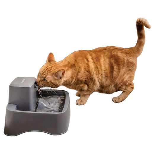 Picture of DRINKWELL 1.8 LITRE PET FOUNTAIN