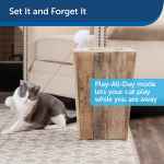 Picture of TOY CAT PETSAFE DANCING DOT LASER CAT TOY