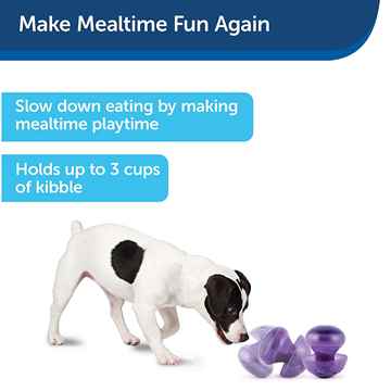 Picture of TOY DOG BUSY BUDDY MUSHROOM SLOW FEED/ TREAT DISPENSER- Med/Large
