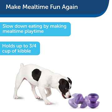 Picture of TOY DOG BUSY BUDDY MUSHROOM SLOW FEED/ TREAT DISPENSER- Small