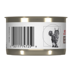 Picture of Royal Canin Veterinary Diet GASTROINTESTINAL Loaf Wet Cat Food - 24 X 145gm cans