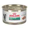 Picture of FELINE RC SATIETY SUPPORT LOAF - 24 x 145gm cans