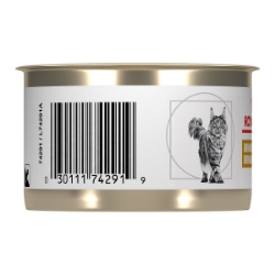 Picture of Royal Canin Veterinary Diet URINARY SO Loaf Wet Cat Food - 24 X 145gm cans