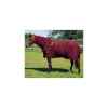 Picture of BACK ON TRACK EQUINE MESH RUG DELUXE with HOOD WINE RED - 75in