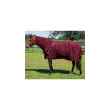 Picture of BACK ON TRACK EQUINE MESH RUG DELUXE with HOOD WINE RED - 75in