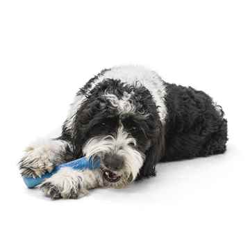 Picture of TOY DOG SEAFLEX DRIFTY BONE Surf - 8.5in