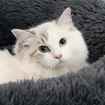 Picture of PET BED FELINE CATIT FLUFFY BED Dark Grey - 24in x 8in