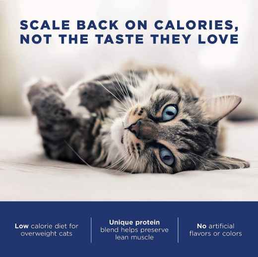 Picture of FELINE NATURAL BALANCE FAT CATS Chicken & Salmon Low Calorie - 6.8kg/15lbs