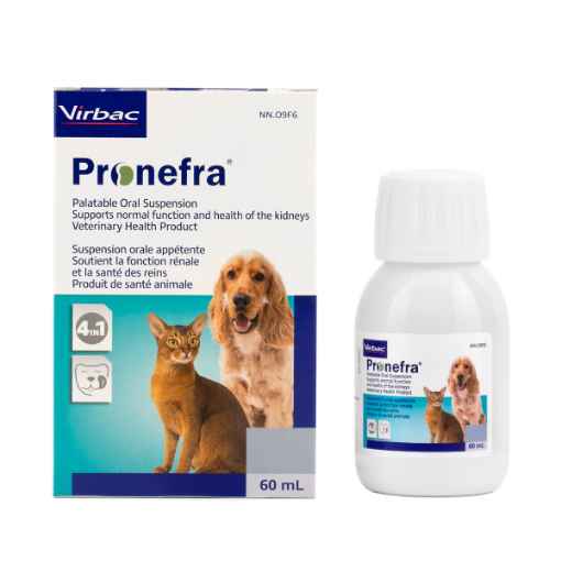 Picture of PRONEFRA PALATABLE ORAL SUSPENSION - 60ml