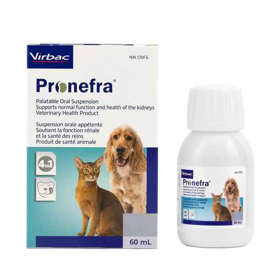 Picture of PRONEFRA PALATABLE ORAL SUSPENSION - 60ml