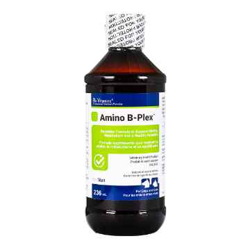 Show details for RX VITAMINS AMINO B-PLEX - 236ml Picture of RX VITAMINS AMINO B-PLEX - 236ml
