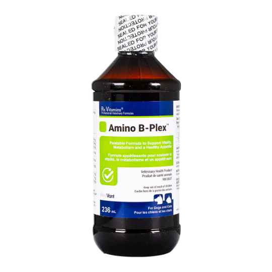 Picture of RX VITAMINS AMINO B-PLEX - 236ml