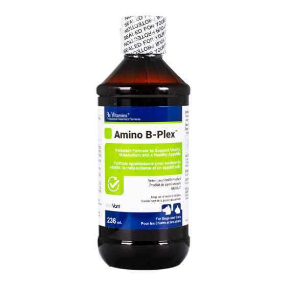 Picture of RX VITAMINS AMINO B-PLEX - 236ml