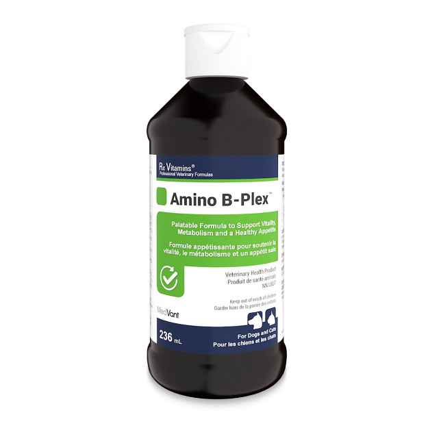 Picture of RX VITAMINS AMINO B-PLEX - 236ml