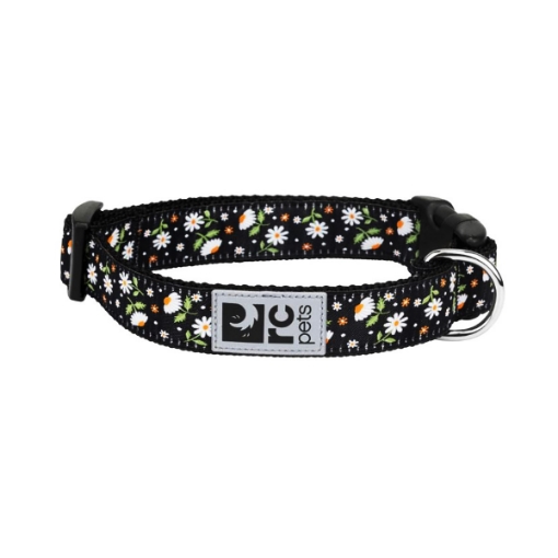 Picture of COLLAR CANINE RC CLIP Adjustable Daisies - 5/8in x 7-9in