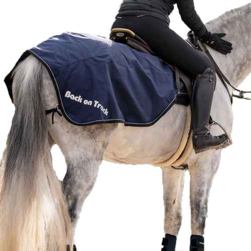 Picture of BACK ON TRACK EQUINE SAMMY EXERCISE RUG - 81in