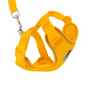Picture of LEAD AND HARNESS COMBO RC ADVENTURE KITTY Small - Marigold