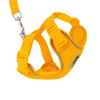 Picture of LEAD AND HARNESS COMBO RC ADVENTURE KITTY Medium - Marigold