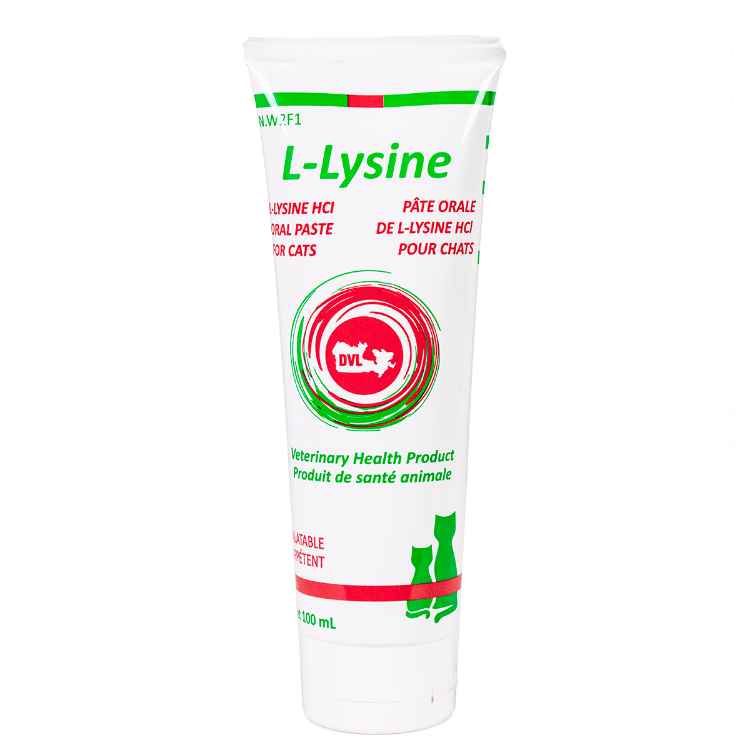Picture of L-LYSINE TUBE 100ml