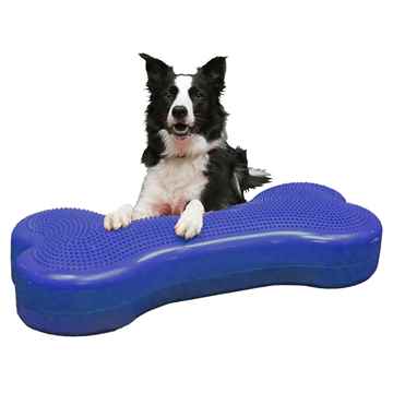 Picture of FITPAWS CANINE FITBone Giant Sky Blue - 35.5in x 15.7in x 5.5in