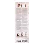 Picture of TOY CAT CATIT PIXI SCRATCHER Tall - 18in x 9in x 22in 