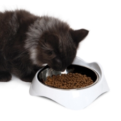 Picture of Bowl Cat Catit Pixi Single Diner White - 200ml/6.8oz