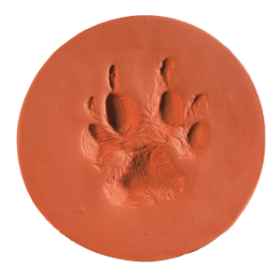 Show details for CLAYPAWS Pet Print Terra Cotta Clay Kit  (J1500TC) Picture of CLAYPAWS Pet Print Terra Cotta Clay Kit  (J1500TC)