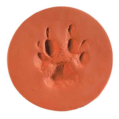 Picture of CLAYPAWS Pet Print Terra Cotta Clay Kit  (J1500TC)