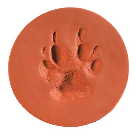 Picture of CLAYPAWS Pet Print Terra Cotta Clay Kit  (J1500TC)