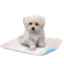 Show details for TRAINING PET PAD WASHABLE WHITE/BLUE BACKSIDE(J1588B) - 23in x 27in Picture of TRAINING PET PAD WASHABLE WHITE/BLUE BACKSIDE(J1588B) - 23in x 27in