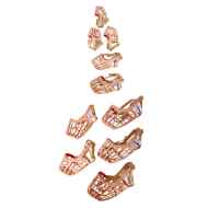 Picture of MUZZLE PLASTIC BASKET CANINE Jorvet Quick Release Buckle (J0884SQ) - Set of 10