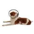 Picture of BUSTER QUICK COLLAR (273511) - 7.5cm