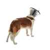 Picture of BUSTER QUICK COLLAR (273513) - 12.5cm