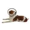 Picture of BUSTER QUICK COLLAR (273513) - 12.5cm