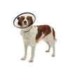 Picture of BUSTER QUICK COLLAR (273514) - 15cm