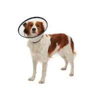 Picture of BUSTER QUICK COLLAR STARTER PACK - 7/box