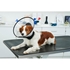 Picture of BUSTER COMPLETE COLLAR (273553) - 12.5cm