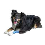 Picture of VET FLEX WRAP KRUUSE Fun-Flex Bones 5cm x 4.5m(164015) - 10/box 