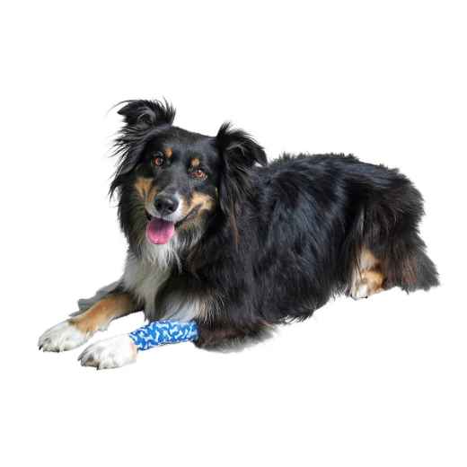 Picture of VET FLEX WRAP KRUUSE Fun-Flex Bones 5cm x 4.5m(164015) - 10/box