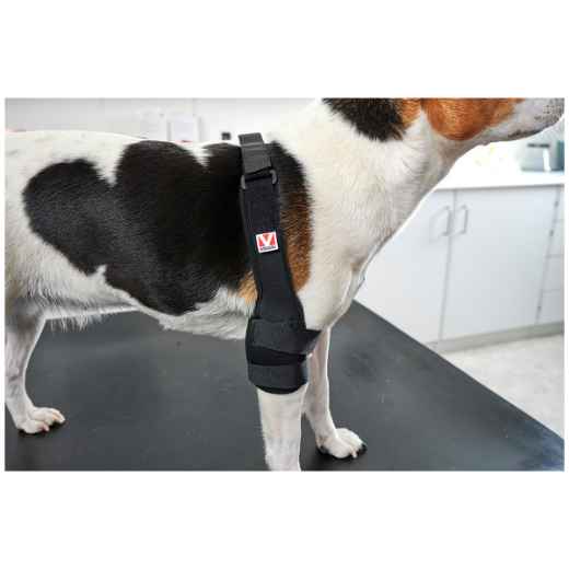 Picture of REHAB DOG PRO ELBOW PROTECTOR Kruuse RIGHT- XX Small