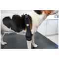 Picture of REHAB DOG PRO ELBOW PROTECTOR Kruuse RIGHT- X Small