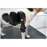 Picture of REHAB DOG PRO ELBOW PROTECTOR Kruuse RIGHT- Large