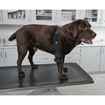 Picture of REHAB DOG PRO ELBOW PROTECTOR Kruuse RIGHT-  X Large