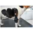 Picture of REHAB DOG PRO ELBOW PROTECTOR Kruuse LEFT- Small