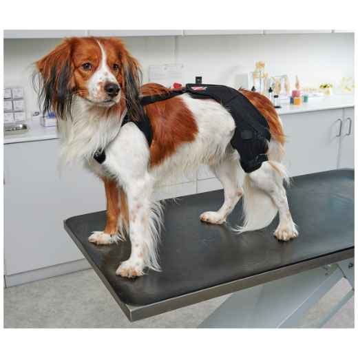 Picture of REHAB DOG PRO KNEE PROTECTOR Kruuse RIGHT- XX Small