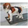 Picture of REHAB DOG PRO KNEE PROTECTOR Kruuse RIGHT - X Small