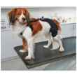 Picture of REHAB DOG PRO KNEE PROTECTOR Kruuse RIGHT- Medium