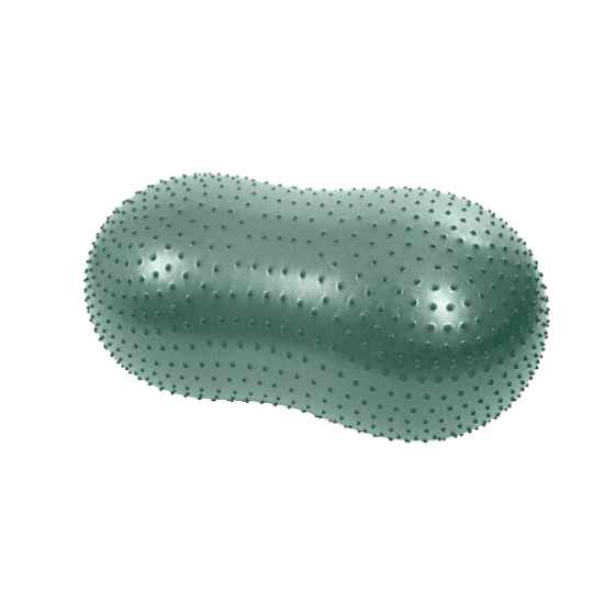 Picture of KRUUSE PHYSIO TACTILE PEANUT (279213) - 50cm(so)